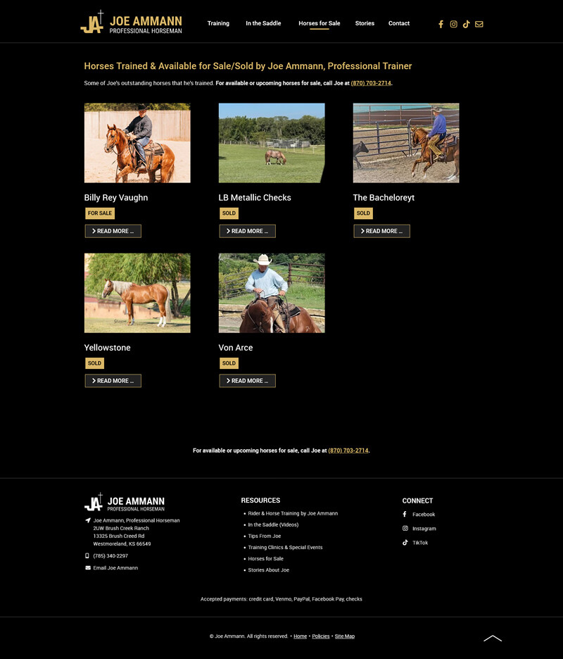 Joe Ammann website screenshot horses for sale